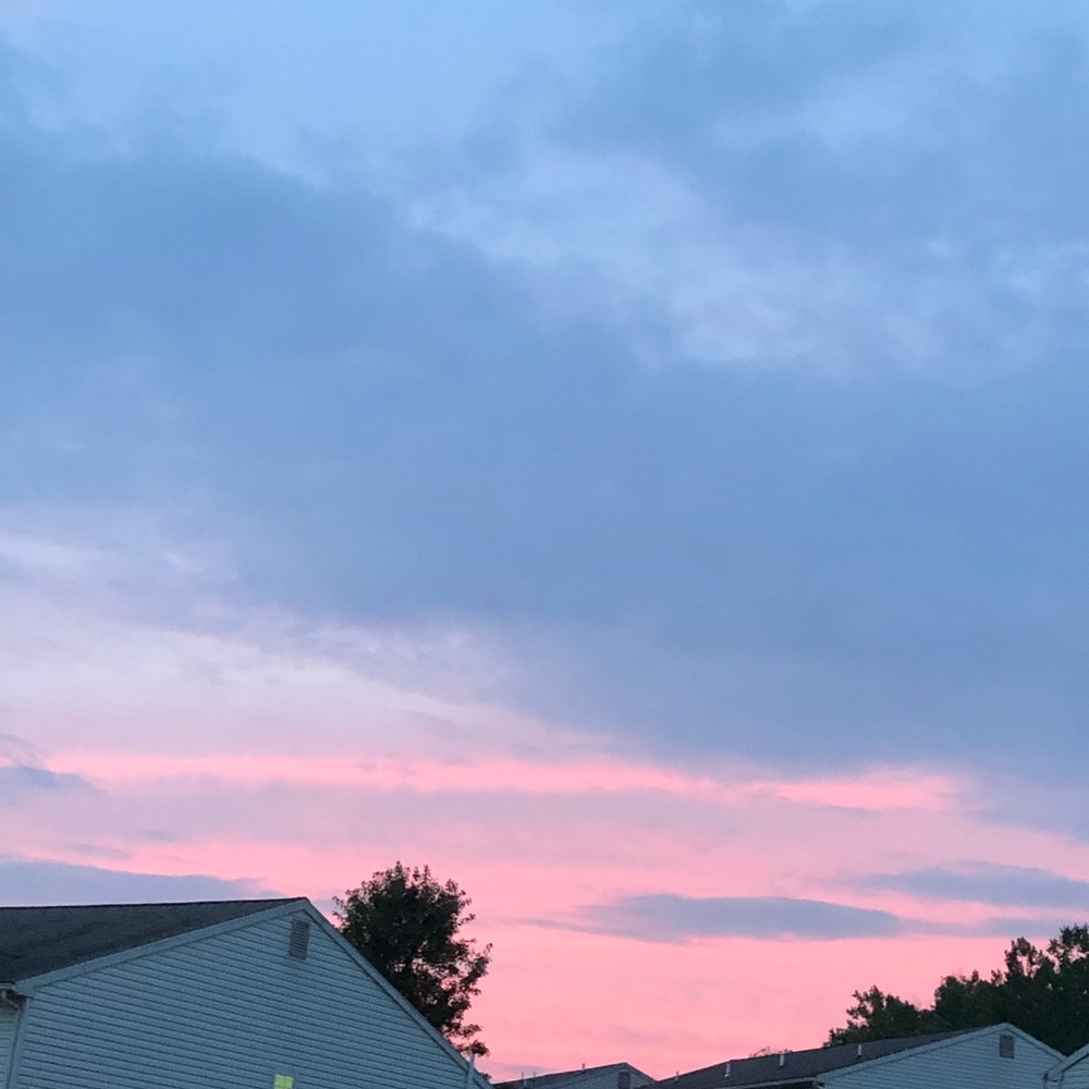 Meet your Posher, Noelle